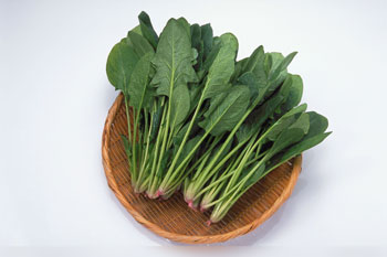 健脾养胃吃什么食物好_怡和医药|江西怡和医药有限公司